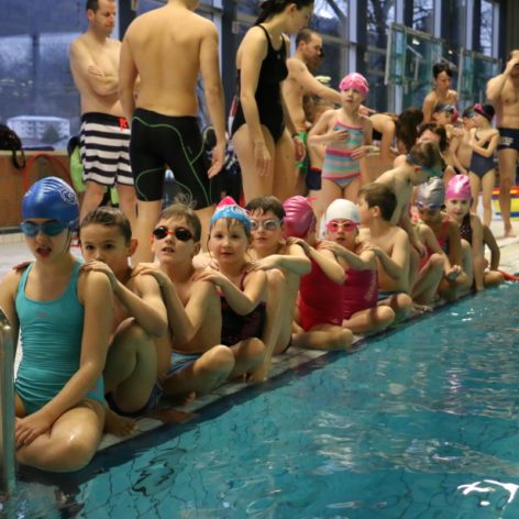 Ecole de natation - Cenamo