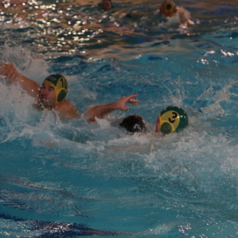 Waterpolo - Monthey 2 – Neuchâtel